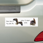 Hoe kan ik als een adelaar vliegen? bumpersticker (Op auto)