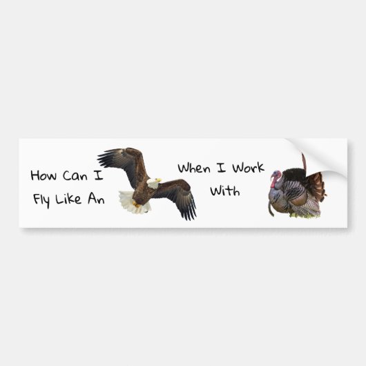 Hoe kan ik als een adelaar vliegen? bumpersticker (Voorkant)