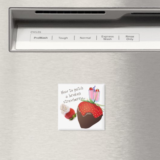 "Hoe kan ik een gebroken aardbei patchen?" Magneet (Insitu (Vaatwasser))