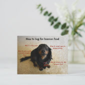 Hoe kan ik Funny Dog smeken? Briefkaart (Staand voorkant)