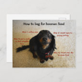 Hoe kan ik Funny Dog smeken? Briefkaart (Voorkant / Achterkant)