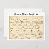 Hoe Kikkers  Briefkaart te tekenen (Voorkant / Achterkant)