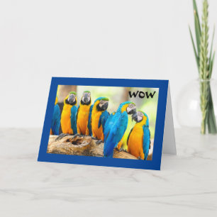 HOE KOOL IS DAT? KAART