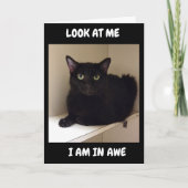 HOE KUNT U "50" KEREN? KAART (Voorkant)