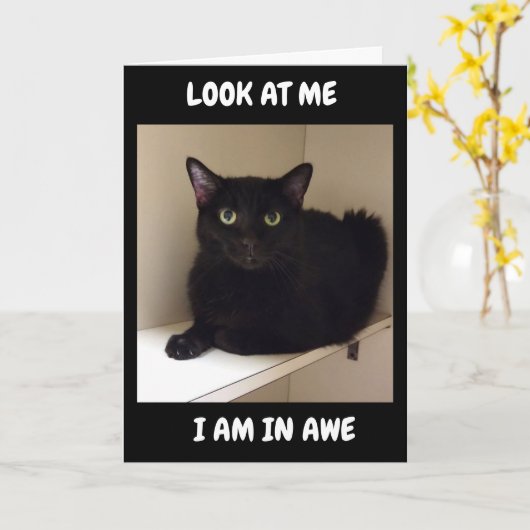 HOE KUNT U "50" KEREN? KAART (Gele Bloem)