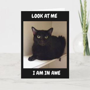 HOE KUNT U "50" KEREN? KAART