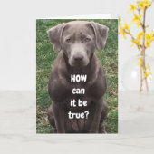 HOE KUNT U "50" KEREN? KAART (Gele Bloem)