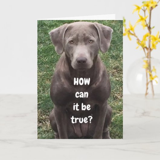 HOE KUNT U "50" KEREN? KAART (Gele Bloem)