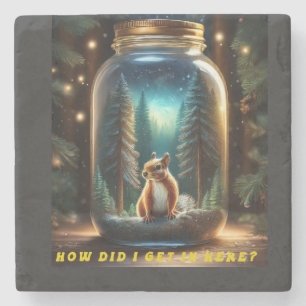 Hoe kwam de eekhoorn in de pot? stenen onderzetter