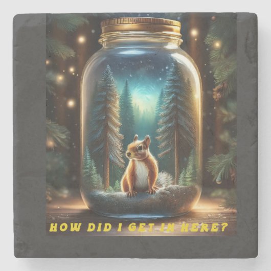 Hoe kwam de eekhoorn in de pot? stenen onderzetter (Voorkant)