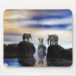 Hoe kwam hij daar, Fred? Muismat