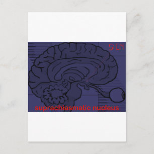 Hoe laat is het? Vraag mijn SCN Briefkaart