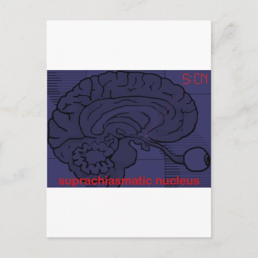 Hoe laat is het? Vraag mijn SCN Briefkaart (Voorkant)