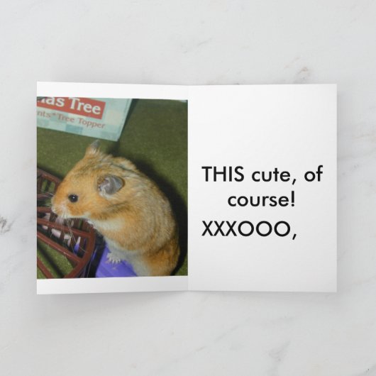 Hoe leuk bent u? Valentijnse kaart (Binnen)