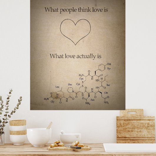 Hoe liefde er eigenlijk uitziet poster (Keuken)