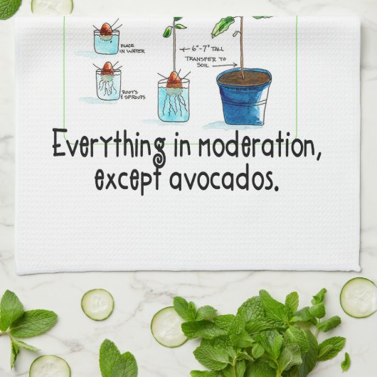 Hoe maak je een avocado boom groeien theedoek (Gevouwen)