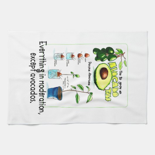 Hoe maak je een avocado boom groeien theedoek (Horizontaal)