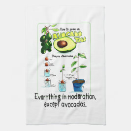 Hoe maak je een avocado boom groeien theedoek
