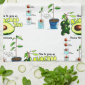 Hoe maak je een avocado groeien theedoek (Gevouwen)