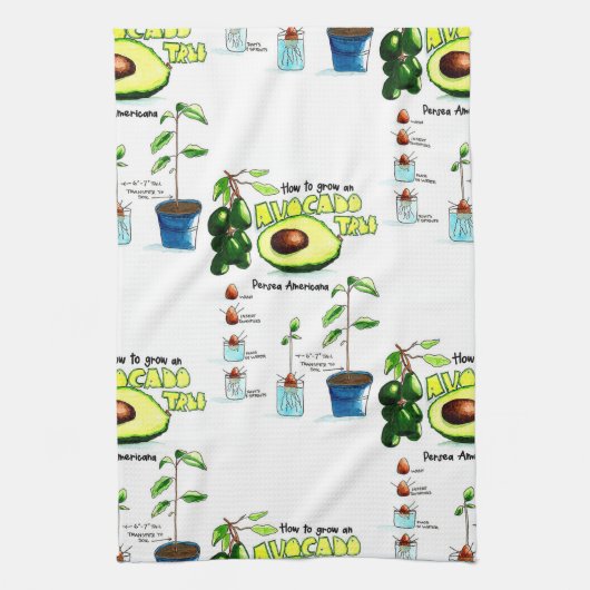Hoe maak je een avocado groeien theedoek (Verticaal)