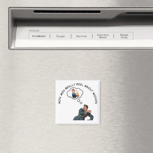 Hoe Mannen zich over vrouwen voelen Magneet (Insitu (Vaatwasser))