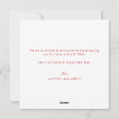 Hoe meer de Merrier zwangerschapsaankondiging Kaar Feestdagenkaart (Achterkant)