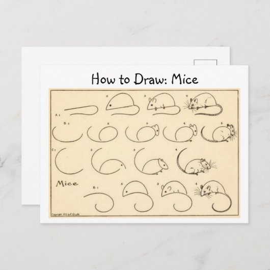 Hoe Muizen  Briefkaart te tekenen (Voorkant / Achterkant)