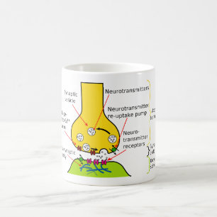 Hoe Nerve Signals met synapesdiagram worden verzon Koffiemok