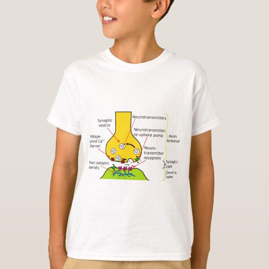 Hoe Nerve Signals met synapesdiagram worden verzon T-shirt (Voorkant)