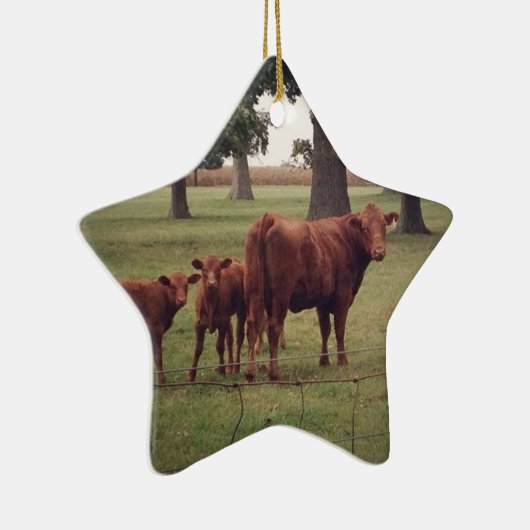 Hoe nu bruine Koe Keramisch Ornament (Rechts)