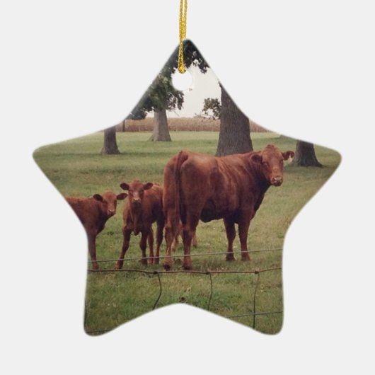 Hoe nu bruine Koe Keramisch Ornament (Voorkant)