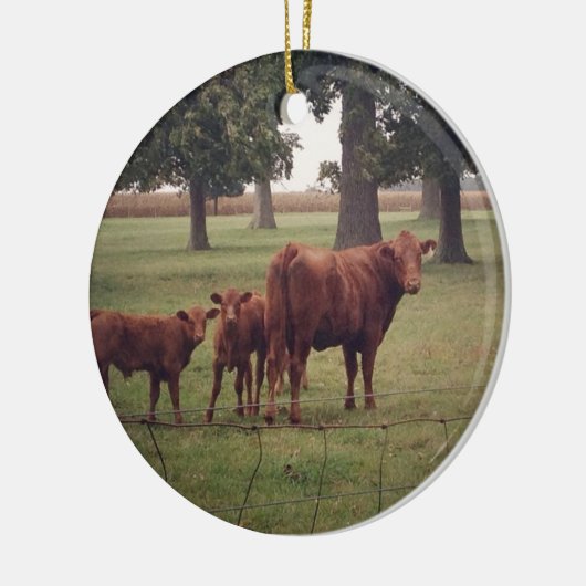 Hoe nu bruine Koe Keramisch Ornament (Links)