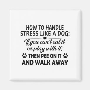 Hoe om te gaan met stress als een hond als je het  magneet