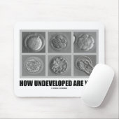 Hoe onontwikkeld ben je? Embryos Zygotes Muismat (Met muis)