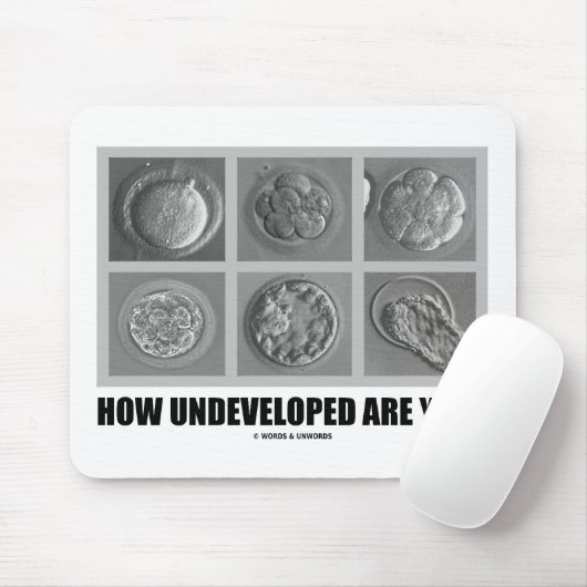 Hoe onontwikkeld ben je? Embryos Zygotes Muismat (Met muis)