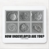 Hoe onontwikkeld ben je? Embryos Zygotes Muismat (Voorkant)