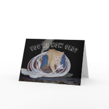 Hoe oud ben je? Grappige kat Verjaardagskaart