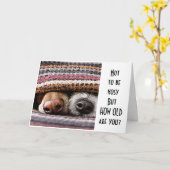 *HOE OUD BEN JE?* ZEGT NOSY PUPS GELUKKIGE VERJAAR KAART (Gele Bloem)