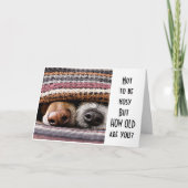 *HOE OUD BEN JE?* ZEGT NOSY PUPS GELUKKIGE VERJAAR KAART (Voorkant)