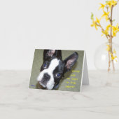 Hoe Oud in de Jaren van de Hond? Kaart (Gele Bloem)