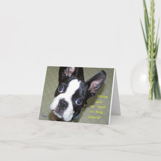 Hoe Oud in de Jaren van de Hond? Kaart (Voorkant)