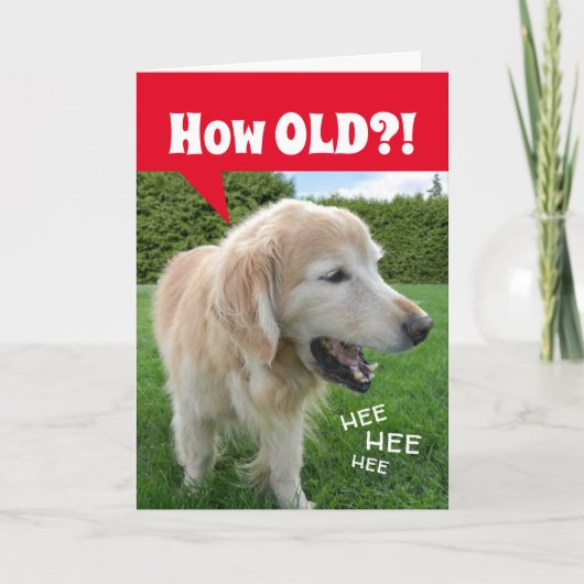 Hoe OUD? Laughing Golden Retriever Dog Birthday Kaart (Voorkant)