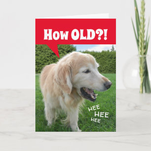 Hoe OUD? Laughing Golden Retriever Dog Birthday Kaart
