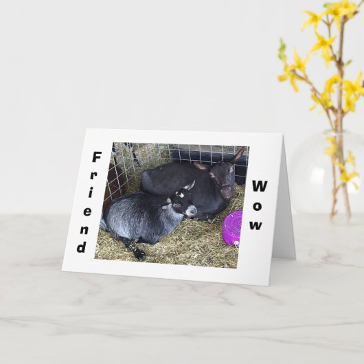 HOE OUD OF U GEZEGDE U BENT DIT JAAR VRIEND? KAART (Gele Bloem)