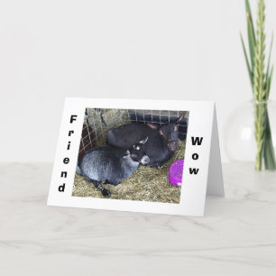 HOE OUD OF U GEZEGDE U BENT DIT JAAR VRIEND? KAART