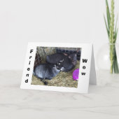 HOE OUD OF U GEZEGDE U BENT DIT JAAR VRIEND? KAART (Voorkant)