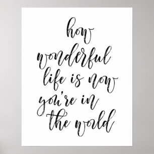 Hoe prachtig is het leven nu jij op de wereld bent poster