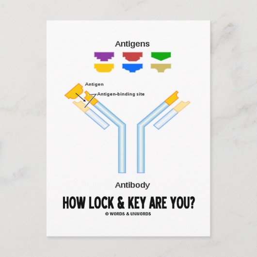 Hoe slot en sleutel ben je? (antigeen) briefkaart (Voorkant)
