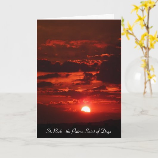 Hoe St. Roch het Patron Sint van Honden werd Kaart (Gele Bloem)