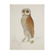 Hoe staat het nu met de baai?